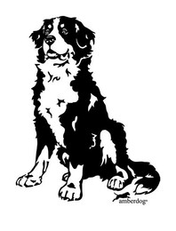 Produktbild von Berner Sennenhund Grafiklizenz