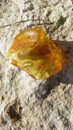 Produktbild von Bernstein Amulett