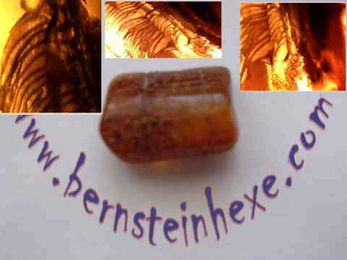 Produktbild von Bernstein mit einer Deckfeder