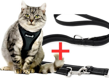 Produktbild von Beroni Geschirr Katzengeschirr Kitten Babykatzen grau