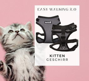 Produktbild von Beroni Geschirr Katzengeschirr Kitten Babykatzen grau