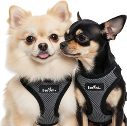 Produktbild von Beroni Hunde-Geschirr Softgeschirr Hundegeschirr nicht über Kopf verstellbar kleine Hunde, Brustgeschirr für kleine Hunde, Rückenlänge verstellbar mit Halsclip