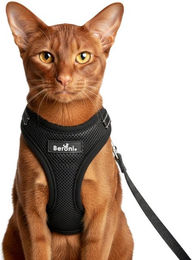 Beroni Katzen-Geschirr Katzengeschirr mit Leine für Katze ausbruchsicher, reflektierend, S - L für Bengal, Maine Coon, kleine Katzen inklusive Katzenleine – Bild 1 von 5
