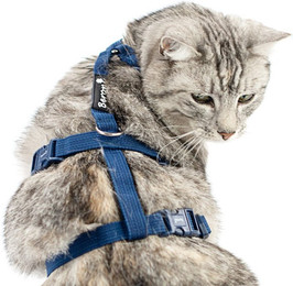 Produktbild von Beroni Sicherheitsgeschirr Katzengeschirr Safety Harness Classic