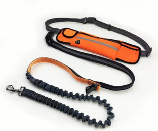 Produktbild von BestGoods Joggingleine mit Handytasche und Absorbierungsband