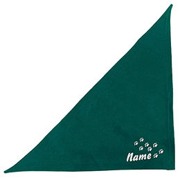Besticktes Halstuch Pfotenspur + Name – Bild 1 von 4
