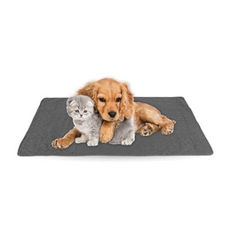 Produktbild von Bestlivings gesteppte Haustierdecke aus Polyester