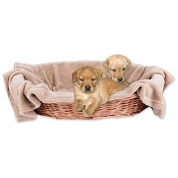 Produktbild von Bestlivings Tierdecke Hundedecke / Katzendecke, Kuscheldecke