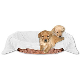 Produktbild von Bestlivings Tierdecke Hundedecke Kuscheldecke Haustierdecke