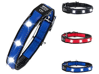 Produktbild von BI INTERNATIONAL Hundehalsband Leuchtend & Aufladbar LED Blau L