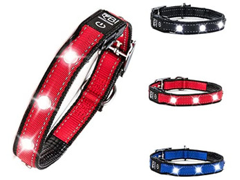Produktbild von BI INTERNATIONAL Hundehalsband Leuchtend & Aufladbar S Rot