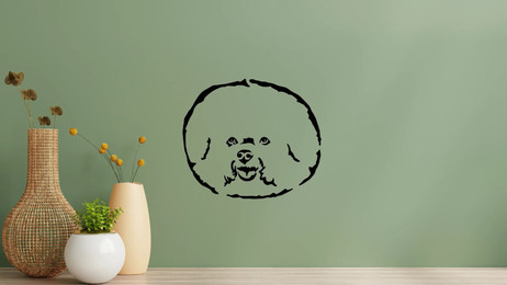 Produktbild von Bichon a Poil Frisé Kopf Wandtattoo Wandbild Wandsticker Wandaufkleber Wanddekoration