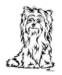 Produktbild von Biewer Yorkshire Grafiklizenz