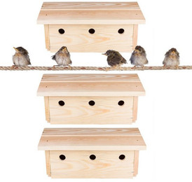 Produktbild von BigDean 3X Nistkasten für Spatzen und Sperlinge aus Massivholz