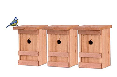 Produktbild von BigDean 3X Nistkasten Meisen Massivholz