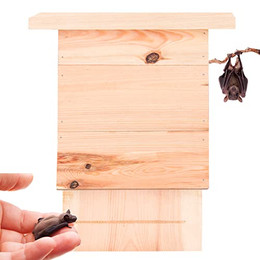 Produktbild von BigDean Großer Fledermauskasten aus Massivholz - 1 Stk.