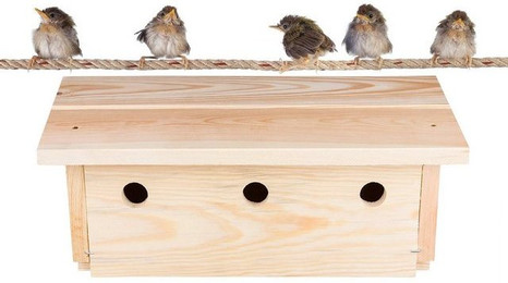 Produktbild von BigDean Nistkasten für Spatzen und Sperlinge aus Massivholz mit 3 Nistkammern