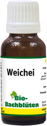 Bio-Bachblüten Weichei - 20 ml – Bild 1 von 5