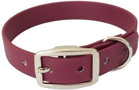 Bio-Leine Biothane Halsband bordeaux – Bild 1 von 3