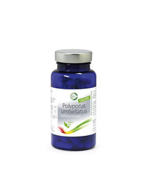 Produktbild von Bio Polyporus umbellatus Eichhase Pilz-Extrakt - 90 x 300 mg