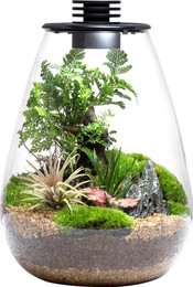 Produktbild von Bioloark Bio Bottle Modell SD - 200