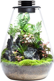 Produktbild von Bioloark Bio Bottle SD 175