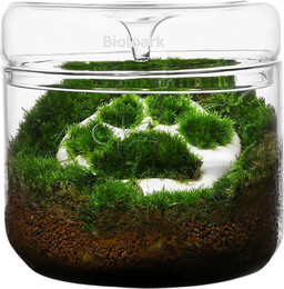 Produktbild von Bioloark Luji Glass Cup MY-120
