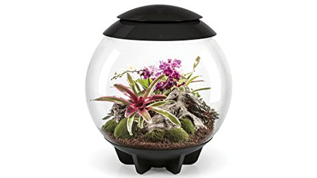 Produktbild von biOrb AIR 60 automatisiertes Terrarium schwarz - 60 l