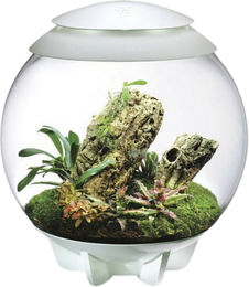 biOrb AIR 60 - weiß – Bild 1 von 3