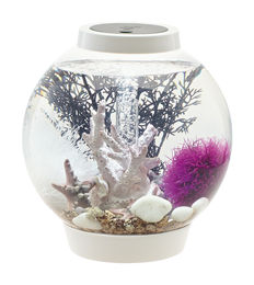 Produktbild von biOrb CLASSIC 15 LED Acryl-Aquarium weiß - 15 l