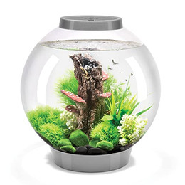 Produktbild von biOrb CLASSIC 30 LED Acryl-Aquarium silber - 30 l