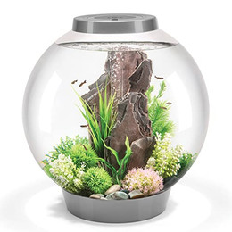 Produktbild von biOrb CLASSIC 60 LED Acryl-Aquarium silber - 60 l