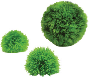 Produktbild von biOrb Dekogewächsball Set 3 grün - 1 Set