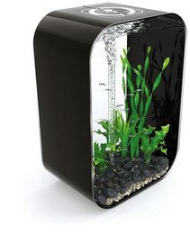 Produktbild von biOrb Design Aquarium Set LIFE 60 MCR schwarz