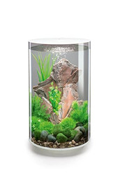 Produktbild von biOrb Design Aquarium Set TUBE 30 MCR weiß