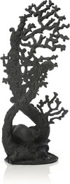 Produktbild von biOrb Fächerkorallen Ornament schwarz - 1 Stk.