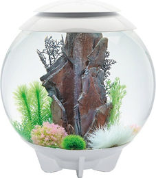 biOrb HALO 60 MCR - weiß – Bild 1 von 3