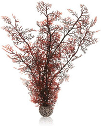 Produktbild von biOrb Hornkoralle dunkelrot L - 1 Stk.