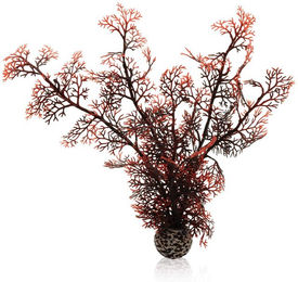 Produktbild von biOrb Hornkoralle dunkelrot M