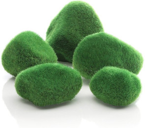 Produktbild von biOrb Kieselstein Set moosbewachsen