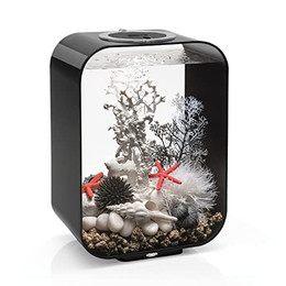Produktbild von biOrb LIFE 15 LED Aquarium schwarz - 15 l