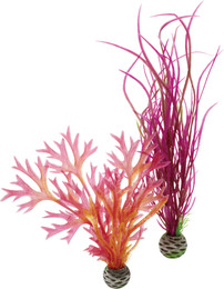 Produktbild von biOrb Pflanzen Set M - rot