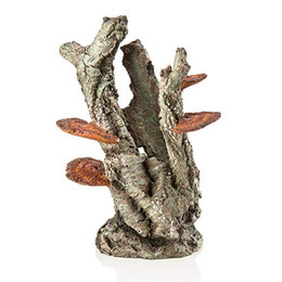 Produktbild von biOrb Pilzborke Ornament