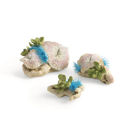 Produktbild von biOrb Plattenkorallen & Knopfpolypen Set
