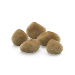 Produktbild von biOrb Sandsteine