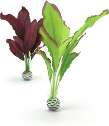 Produktbild von biOrb Seidenpflanzen Set M grün & lila - 1 Stk.