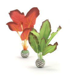 biOrb Seidenpflanzen Set S grün & rot - 1 Set – Bild 1 von 4