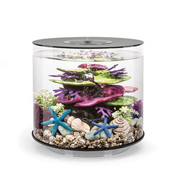 Produktbild von biOrb TUBE 15 LED schwarz 15 Liter 360-Grad Deko-Aquarium - 15 l