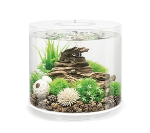 Produktbild von biOrb TUBE 15 LED weiß Aquarium