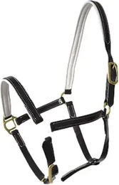 Produktbild von Biothane Halfter für Pferde Lexhis Square Beadband